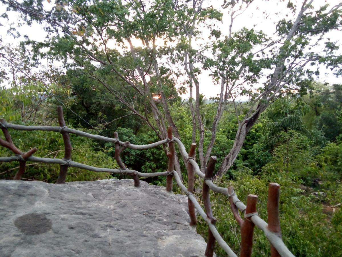 Inn On The Rock Daambulla Dambulla Exterior photo